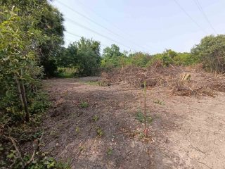 Eladó 301 m²-estelek XXII. Kerület (Nagytétény) , Szakiskola utca: 22'000'000 Ft