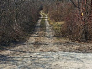 Eladó 301 m²-estelek XXII. Kerület (Nagytétény) , Szakiskola utca: 22'000'000 Ft