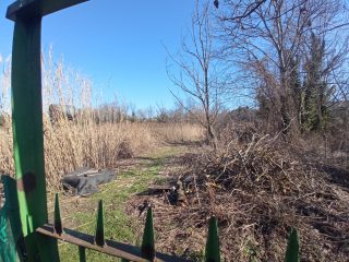 Eladó 40 m²-esüdülő XXIII. Kerület (Molnársziget) , MOLNÁR utca: 13'900'000 Ft