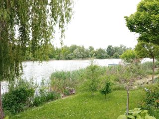 Eladó 40 m²-esüdülő XXIII. Kerület (Molnársziget) , MOLNÁR utca: 13'900'000 Ft