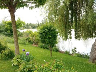 Eladó 40 m²-esüdülő XXIII. Kerület (Molnársziget) , MOLNÁR utca: 13'900'000 Ft