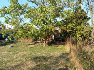 Eladó 662 m²-estelek XXIII. Kerület (Soroksár) , Bolgárföld dülő utca: 24'900'000 Ft