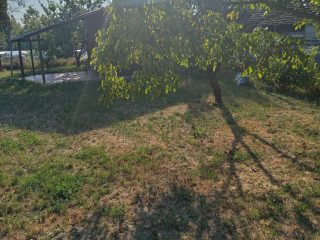 Eladó 662 m²-estelek XXIII. Kerület (Soroksár) , Bolgárföld dülő utca: 24'900'000 Ft