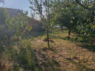 Eladó 662 m²-estelek XXIII. Kerület (Soroksár) , Bolgárföld dülő utca: 25'200'000 Ft