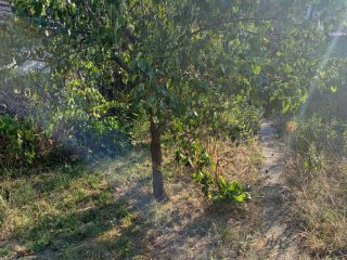 Eladó 662 m²-estelek XXIII. Kerület (Soroksár) , Bolgárföld dülő utca: 25'200'000 Ft