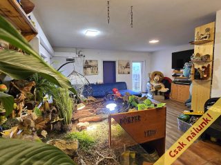 Eladó 270 m²-escsaládi ház XXIII. Kerület (Soroksár) , Elvira utca: 220'000'000 Ft