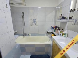 Eladó 270 m²-escsaládi ház XXIII. Kerület (Soroksár) , Elvira utca: 220'000'000 Ft