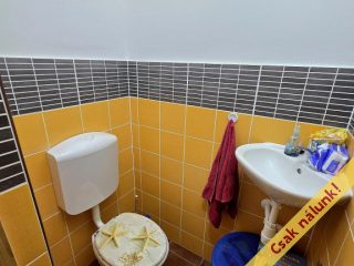 Eladó 270 m²-escsaládi ház XXIII. Kerület (Soroksár) , Elvira utca: 220'000'000 Ft