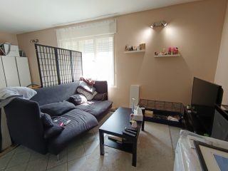 Eladó 170 m²-escsaládi ház XXIII. Kerület (Soroksár) , Fakopács utca: 150'000'000 Ft