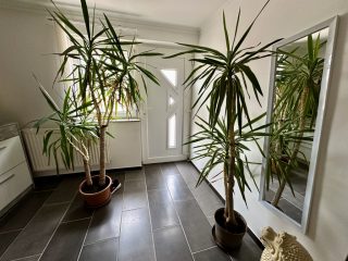 Eladó 195 m²-escsaládi ház Bugyi, Vállalkozás és Otthon: 180'000'000 Ft