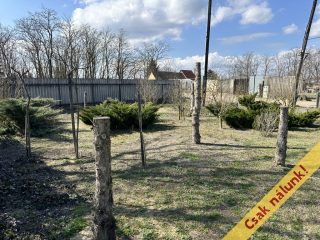 Eladó 42 m²-esüdülő Cegléd, Gőz dűlő: 18'900'000 Ft