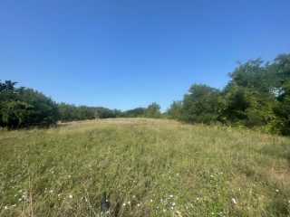 Eladó 5167 m²-estelek Cegléd, Városközpont közeli utca: 30'000'000 Ft