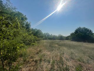 Eladó 5167 m²-estelek Cegléd, Városközpont közeli utca: 30'000'000 Ft