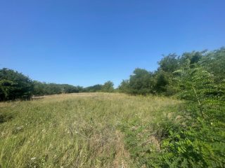 Eladó 5167 m²-estelek Cegléd, Városközpont közeli utca: 30'000'000 Ft