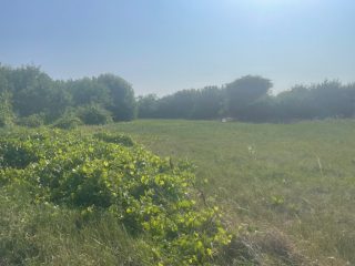 Eladó 5167 m²-estelek Cegléd, Városközpont közeli utca: 30'000'000 Ft