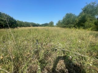 Eladó 5167 m²-estelek Cegléd, Városközpont közeli utca: 30'000'000 Ft