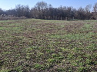 Eladó 1000 m²-estelek Csajág, Patak közelében: 15'000'000 Ft