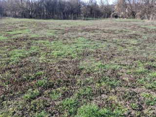 Eladó 1000 m²-estelek Csajág, Patak közelében: 15'000'000 Ft