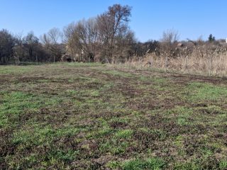 Eladó 1000 m²-estelek Csajág, Patak közelében: 15'000'000 Ft