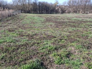 Eladó 1000 m²-estelek Csajág, Patak közelében: 15'000'000 Ft