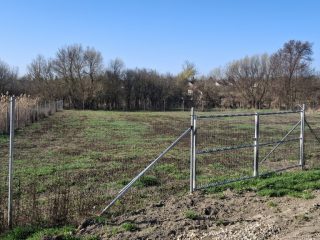 Eladó 1000 m²-estelek Csajág, Patak közelében: 15'000'000 Ft