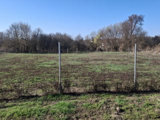 Eladó 2000 m²-estelek Csajág, Patak közelében: 25'000'000 Ft