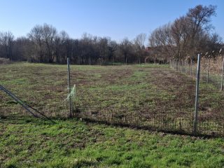 Eladó 2000 m²-estelek Csajág, Patak közelében: 25'000'000 Ft