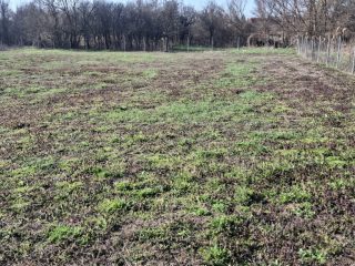 Eladó 2000 m²-estelek Csajág, Patak közelében: 25'000'000 Ft