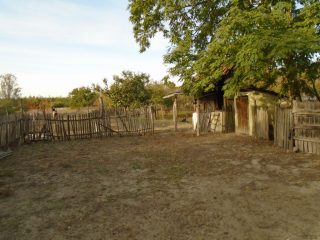 Eladó 4475 m²-esmezőgazdasági ingatlan Csongrád, Bokrospart tanya utca: 13'500'000 Ft