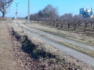 Eladó 30000 m²-esmezőgazdasági ingatlan Dabas, Városközpont közeli utca: 195'000'000 Ft