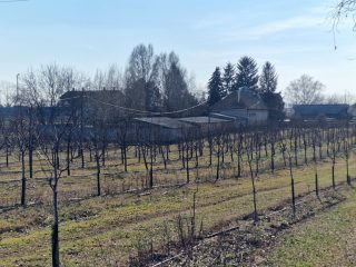 Eladó 30000 m²-esmezőgazdasági ingatlan Dabas, Városközpont közeli utca: 195'000'000 Ft