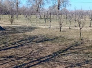 Eladó 30000 m²-esmezőgazdasági ingatlan Dabas, Városközpont közeli utca: 195'000'000 Ft