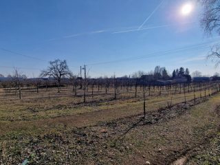 Eladó 30000 m²-esmezőgazdasági ingatlan Dabas, Városközpont közeli utca: 195'000'000 Ft