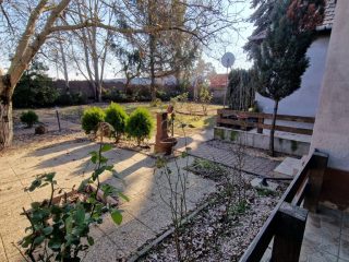 Eladó 30000 m²-esmezőgazdasági ingatlan Dabas, Városközpont közeli utca: 195'000'000 Ft