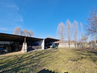 Eladó 30000 m²-esmezőgazdasági ingatlan Dabas, Városközpont közeli utca: 195'000'000 Ft