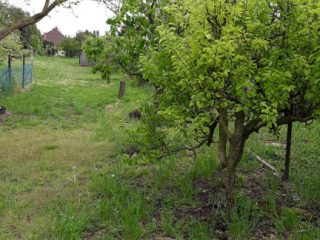 Eladó 1571 m²-estelek Dinnyés, Alkotmány utca: 25'000'000 Ft