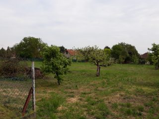 Eladó 1571 m²-estelek Dinnyés, Alkotmány utca: 25'000'000 Ft