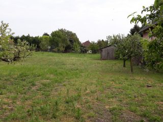 Eladó 1571 m²-estelek Dinnyés, Alkotmány utca: 25'000'000 Ft