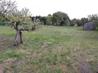 Eladó 1571 m²-estelek Dinnyés, Alkotmány utca: 25'000'000 Ft