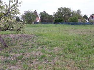 Eladó 1571 m²-estelek Dinnyés, Alkotmány utca: 25'000'000 Ft