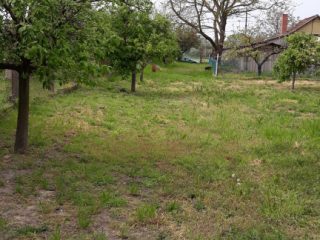 Eladó 1571 m²-estelek Dinnyés, Alkotmány utca: 25'000'000 Ft