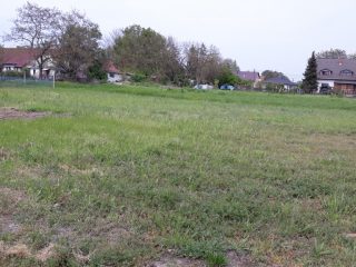 Eladó 1571 m²-estelek Dinnyés, Alkotmány utca: 25'000'000 Ft