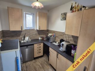 Eladó 90 m²-escsaládi ház Domony, Tavasz utca: 63'000'000 Ft