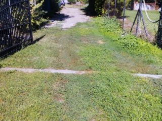 Eladó 2097 m²-estelek Dömsöd, Központ közeli utca: 30'000'000 Ft