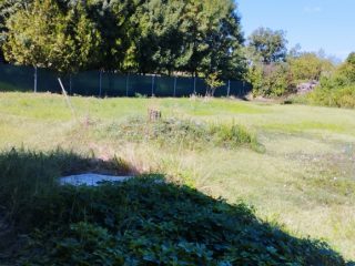 Eladó 2097 m²-estelek Dömsöd, Központ közeli utca: 30'000'000 Ft