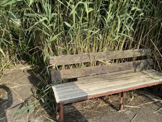 Eladó 80 m²-esüdülő Dömsöd, Nyírfa utca: 19'000'000 Ft