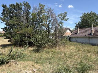 Eladó 1445 m²-estelek Dömsöd, Széchenyi környéke utca: 7'900'000 Ft