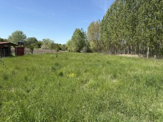 Eladó 1719 m²-estelek Dömsöd, Vadvirág utca: 5'900'000 Ft