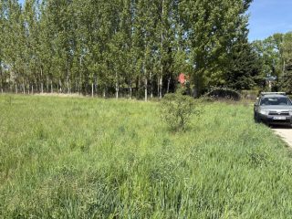 Eladó 1719 m²-estelek Dömsöd, Vadvirág utca: 5'900'000 Ft