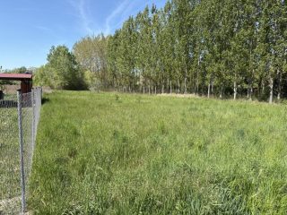 Eladó 1719 m²-estelek Dömsöd, Vadvirág utca: 5'900'000 Ft